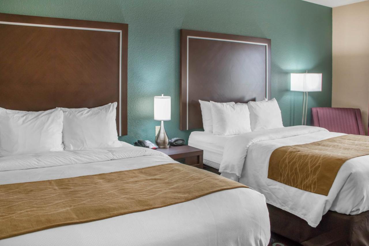 Comfort Inn & Suites Сан-Маркос Екстер'єр фото