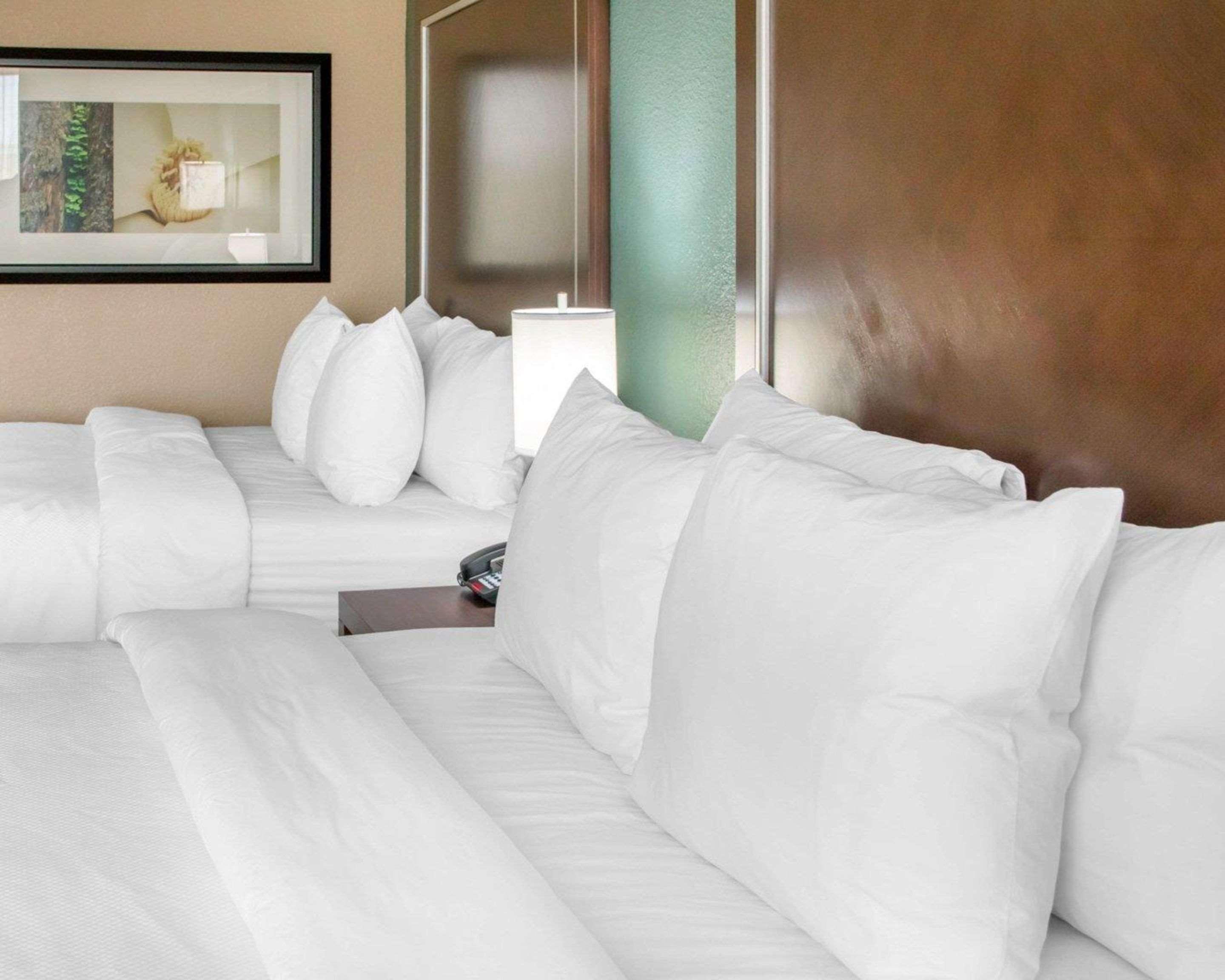 Comfort Inn & Suites Сан-Маркос Екстер'єр фото